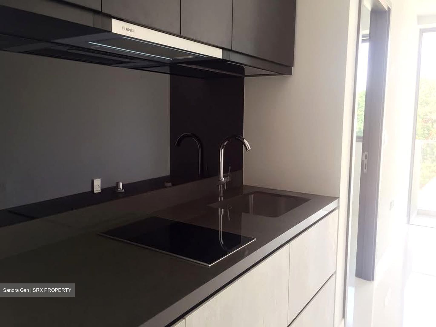 The Rise @ Oxley (D9), Condominium #562081501